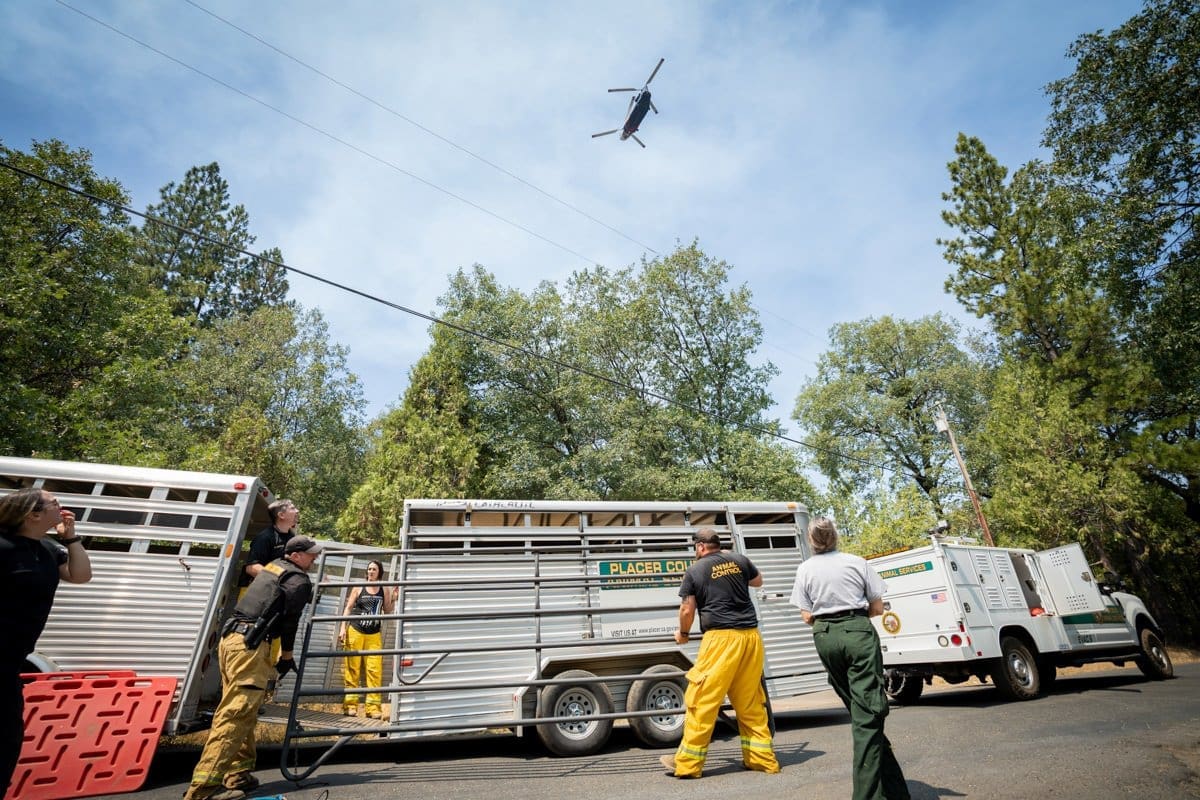 Rescue workers build fencing as a helicopter flies above.