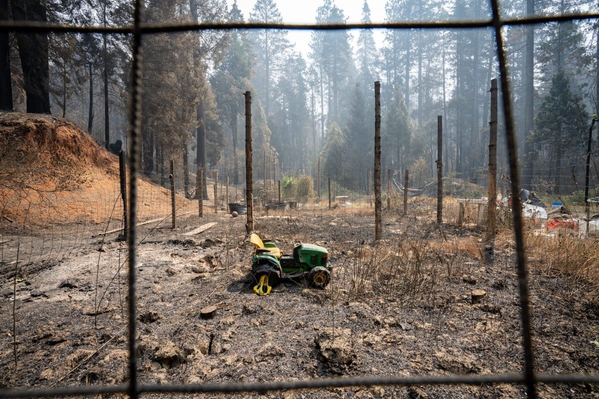 a melted toy tractor sits in a field of burned ruins in this documentary photograph