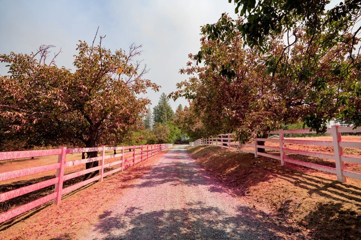 a fence lined road appears stained red from fire preventative solutions that have been sprayed to stop wildfires from spreading in this documentary photo