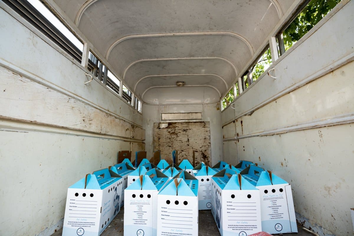 documentary photogrpah of a trailer full of boxes to help rescue pets and animals from wildfires