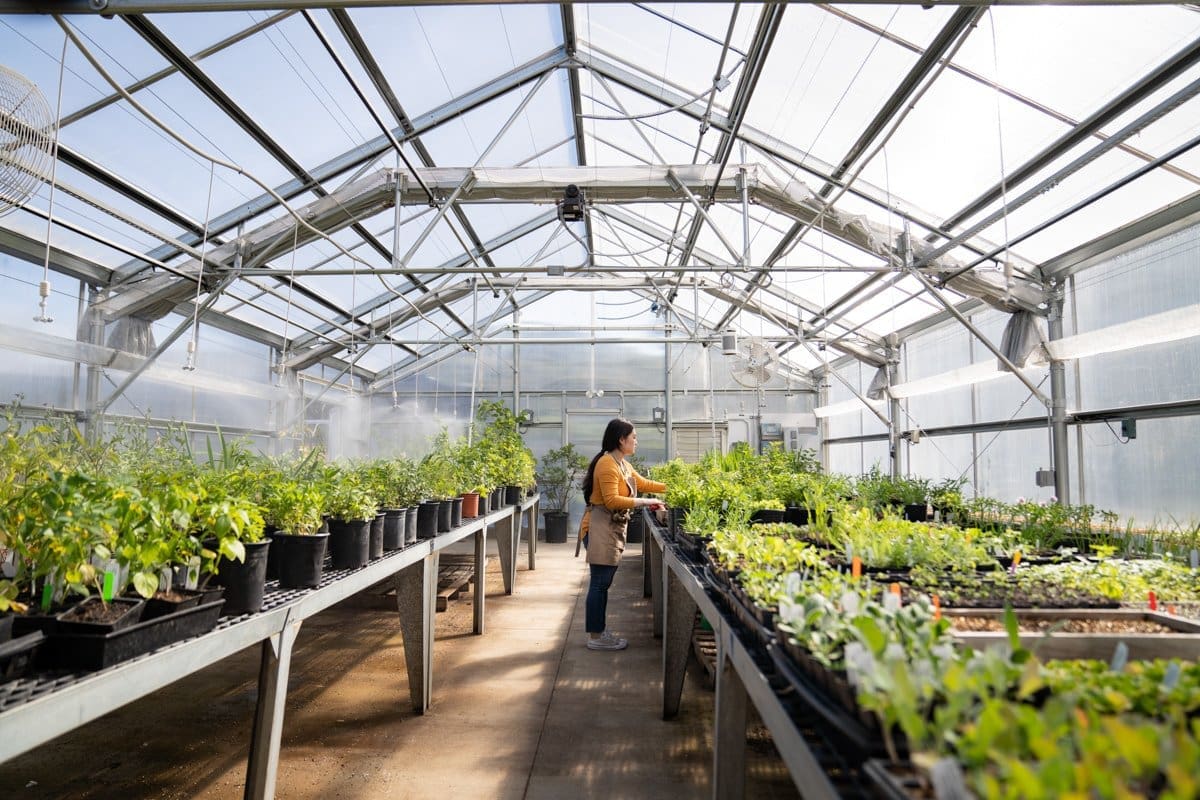 a student tends to plants in a greenhouse in this commerical photo shoot for CA Community Colleges