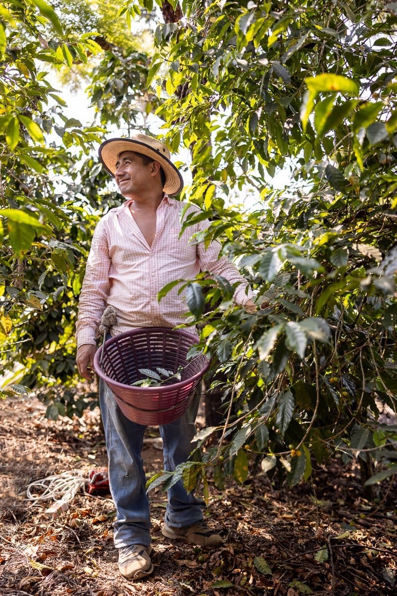 A coffee bean farmer stands in his field in this documentary style photo